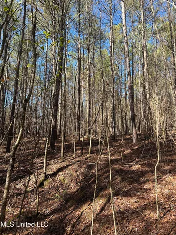 $148,000 | Phillips Road, Lexington, MS 39095