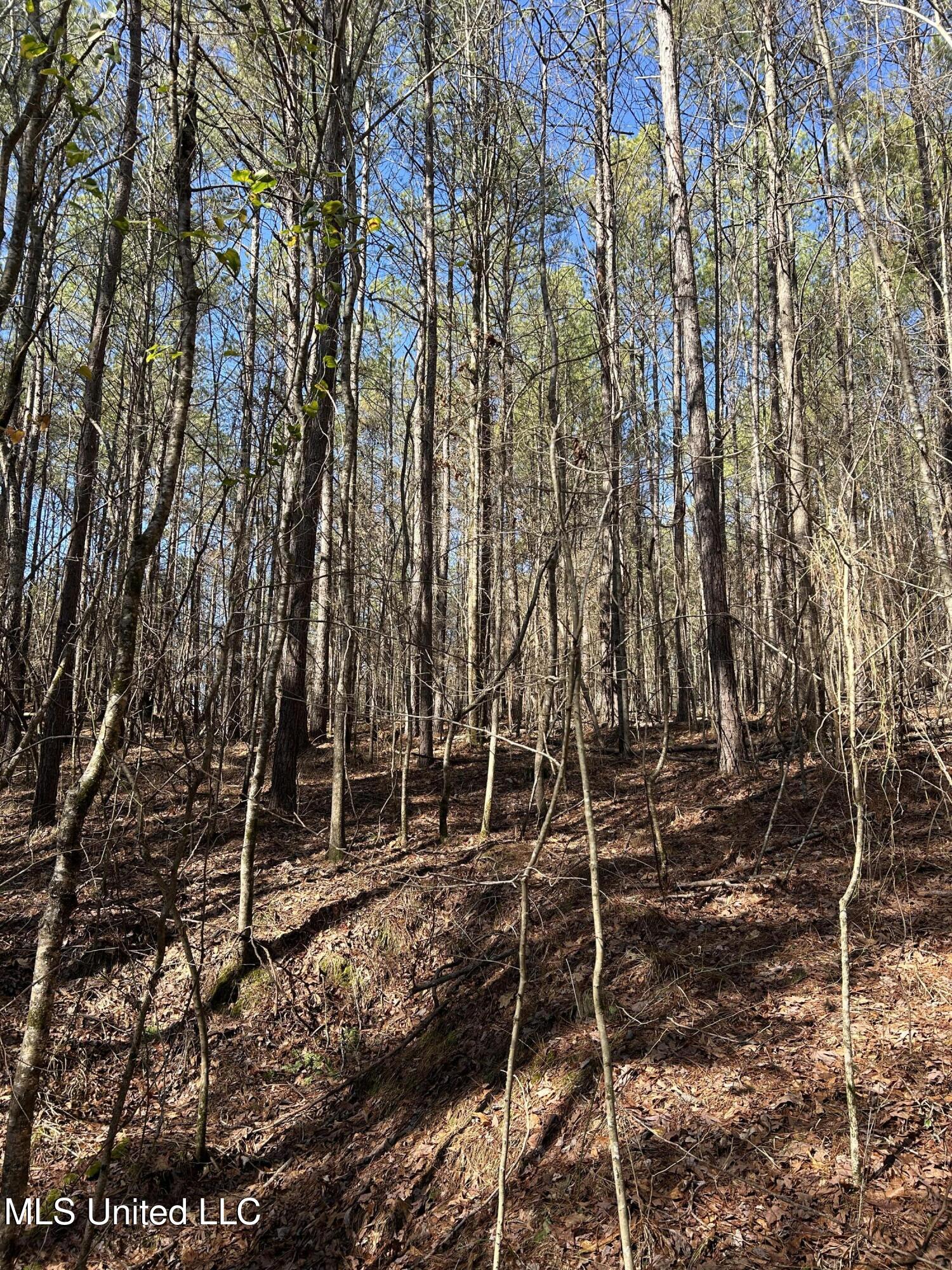 Phillips Road Lexington, MS 39095 - Photo 21 of 43 IMG_7801