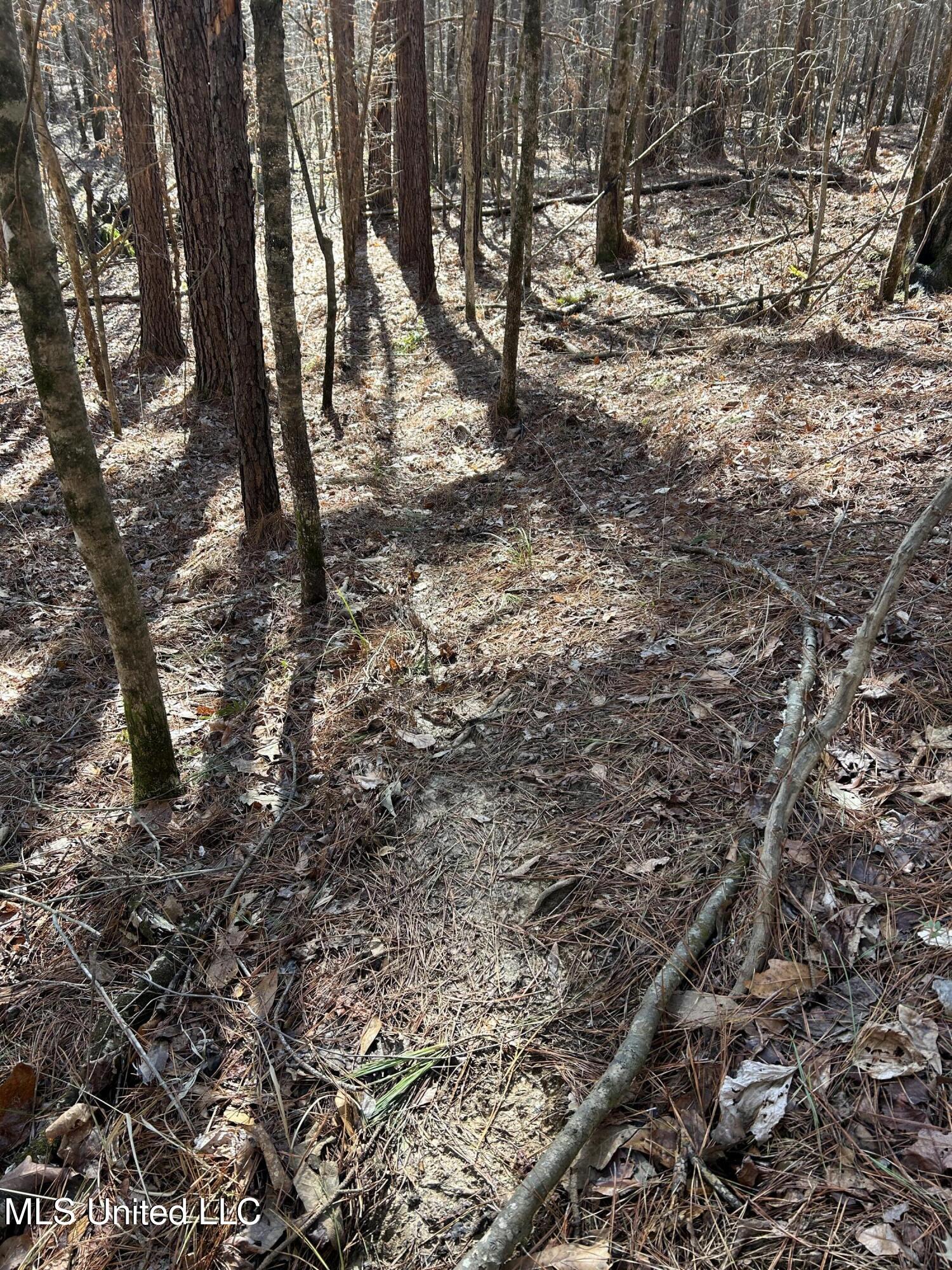 Phillips Road Lexington, MS 39095 - Photo 22 of 43 IMG_7802