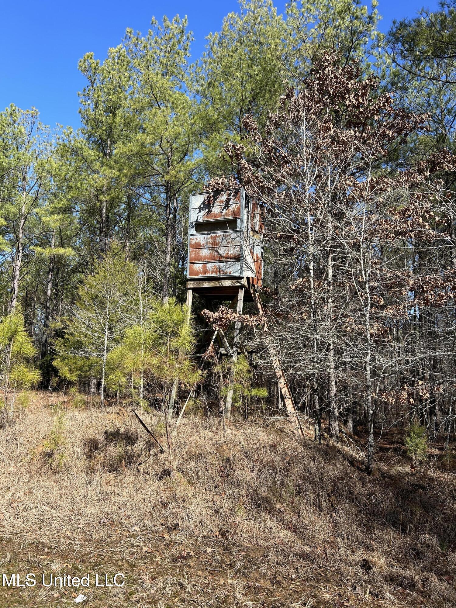 Phillips Road Lexington, MS 39095 - Photo 23 of 43 IMG_7803