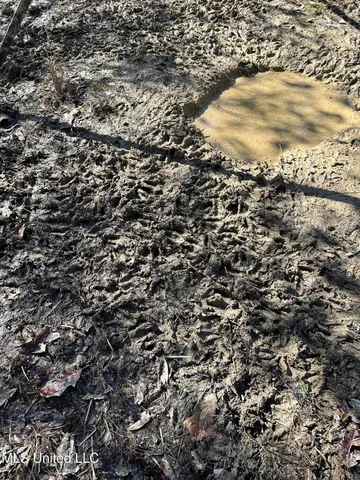 $148,000 | Phillips Road, Lexington, MS 39095