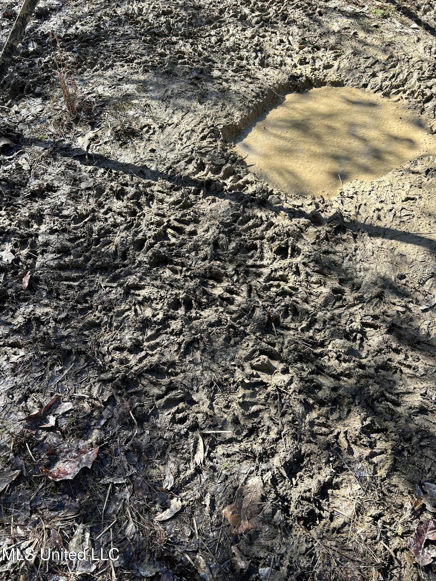 Phillips Road Lexington, MS 39095 - Photo 24 of 43 IMG_7804