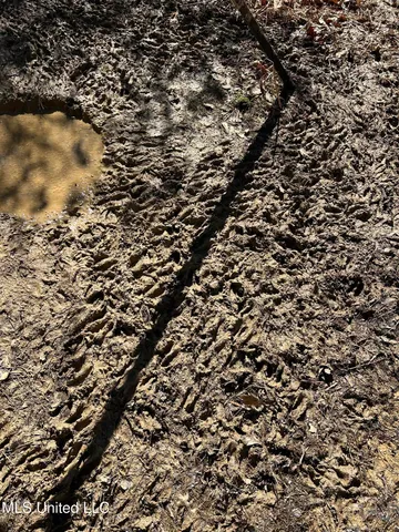 $148,000 | Phillips Road, Lexington, MS 39095