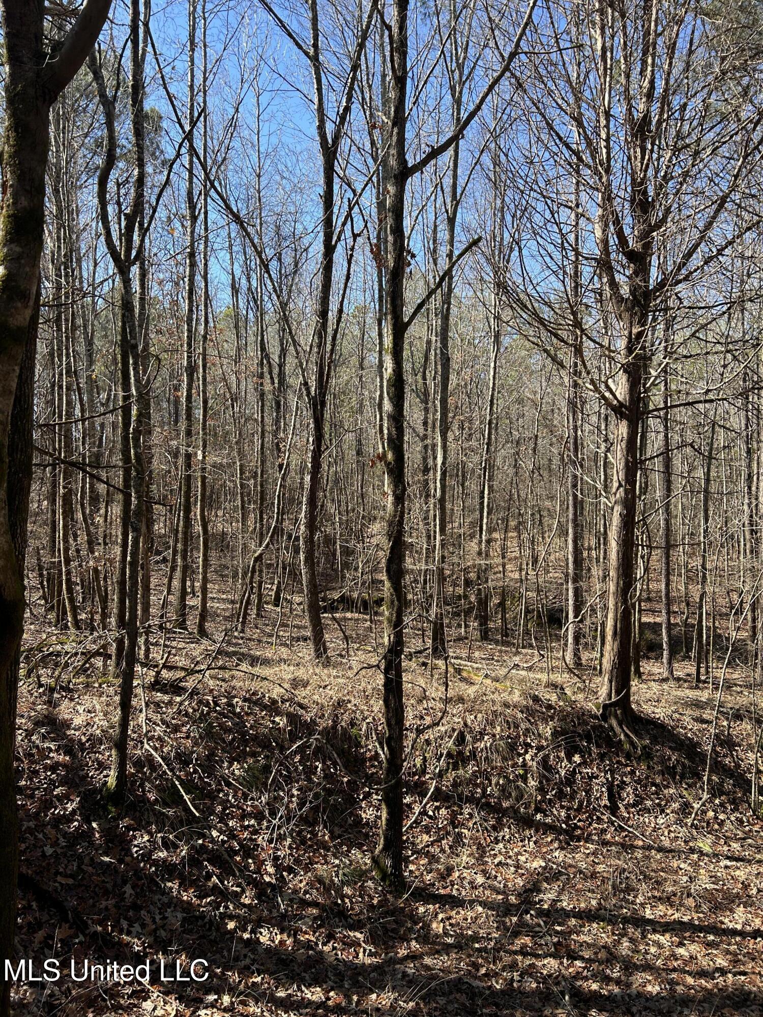 Phillips Road Lexington, MS 39095 - Photo 27 of 43 IMG_7807