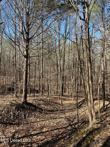 $148,000 | Phillips Road, Lexington, MS 39095