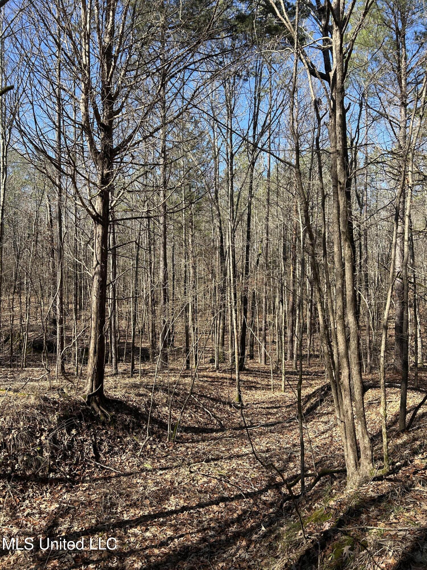 Phillips Road Lexington, MS 39095 - Photo 28 of 43 IMG_7808