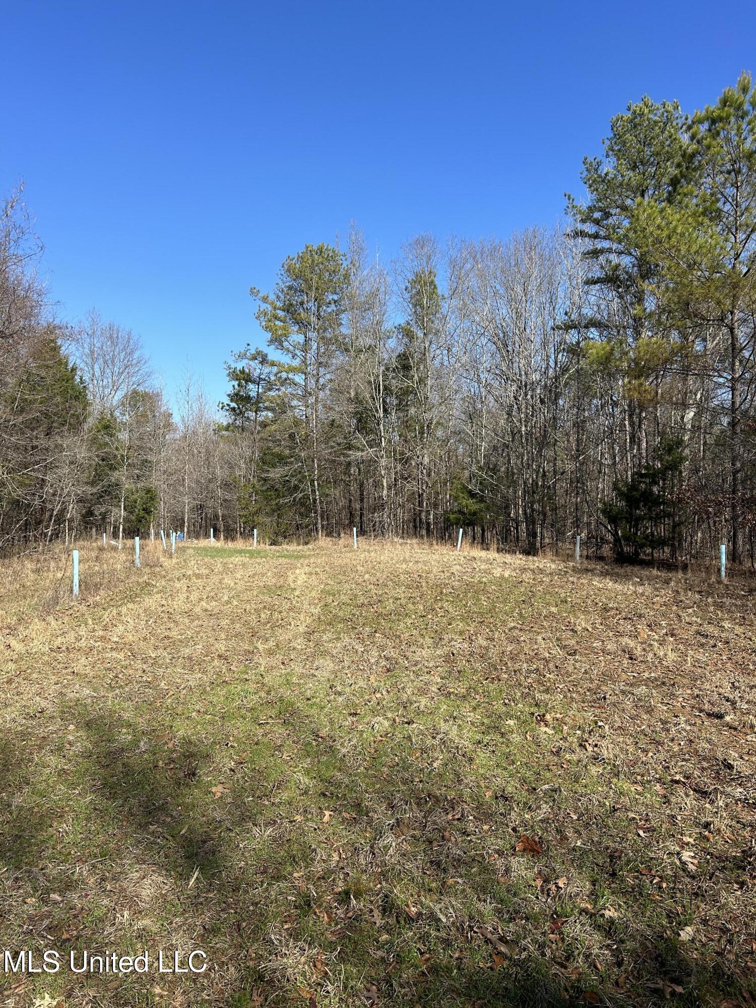 Phillips Road Lexington, MS 39095 - Photo 29 of 43 IMG_7809