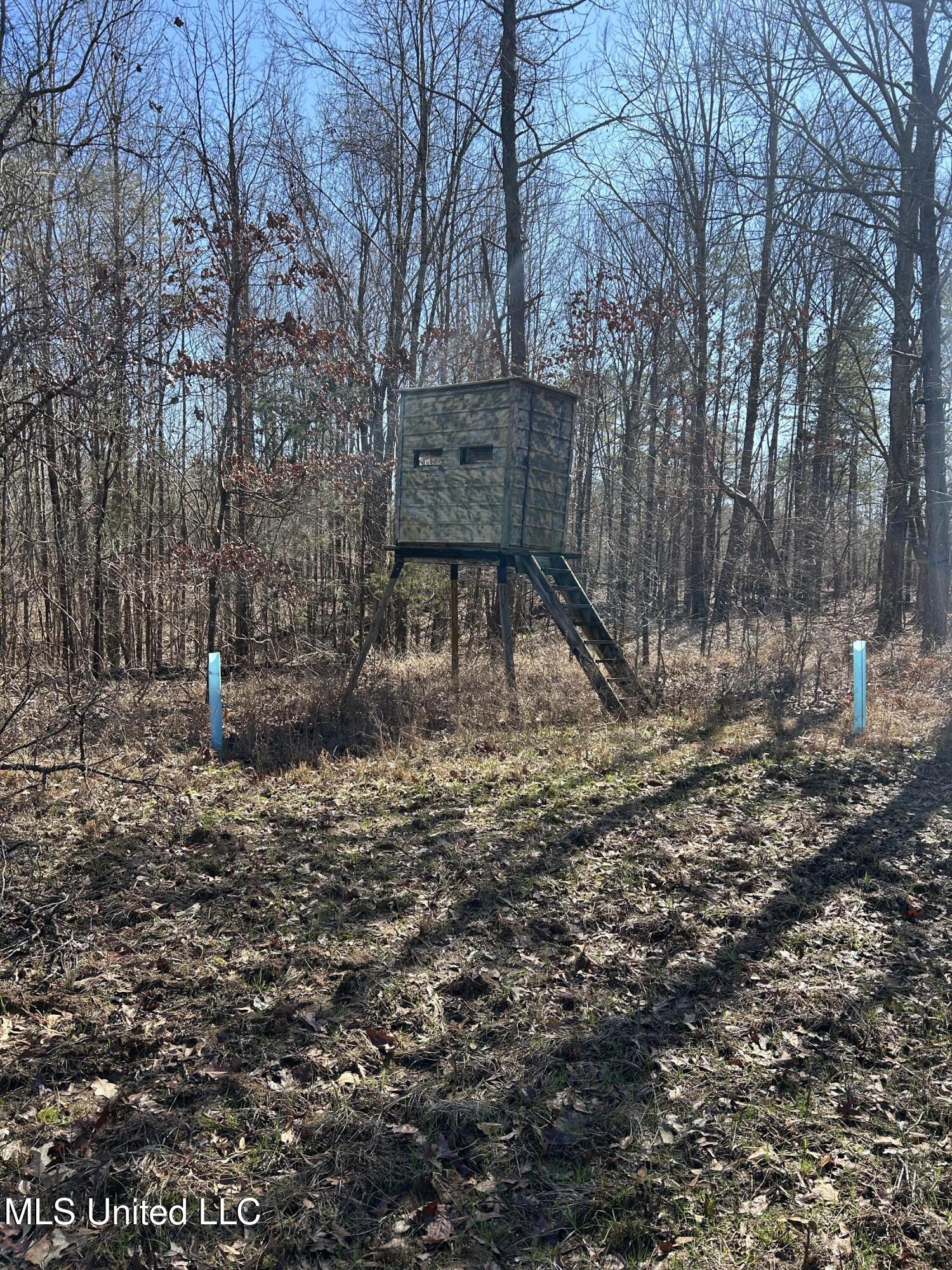 Phillips Road Lexington, MS 39095 - Photo 30 of 43 IMG_7811