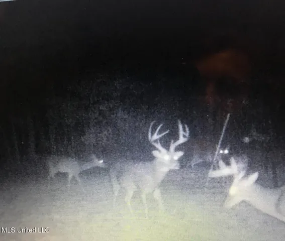 $148,000 | Phillips Road, Lexington, MS 39095