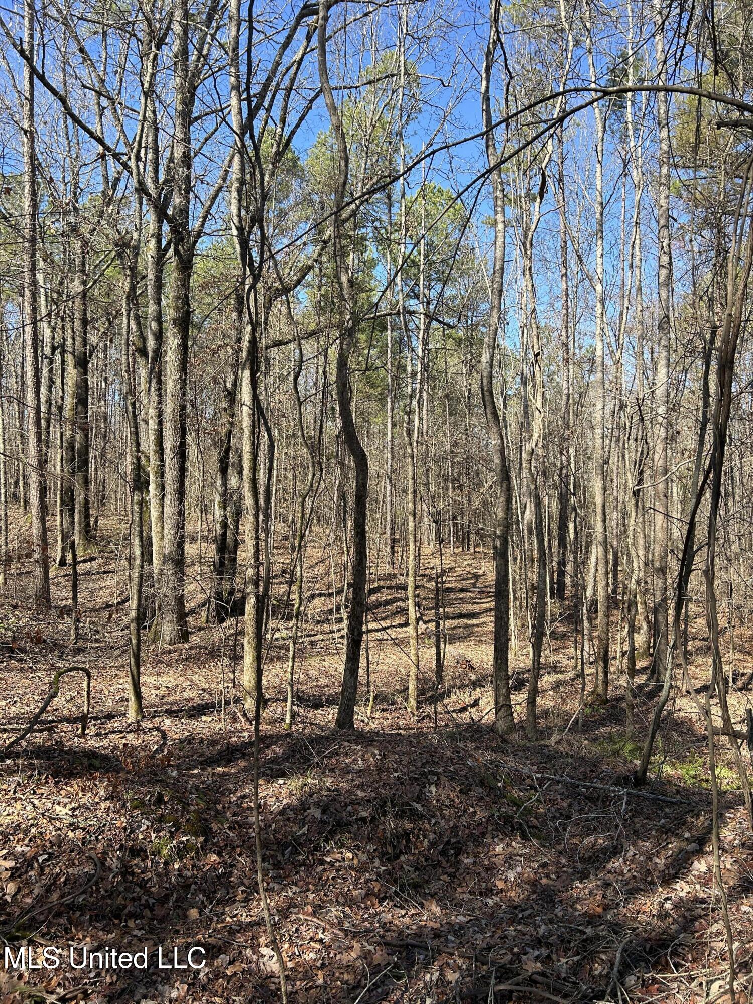 Phillips Road Lexington, MS 39095 - Photo 31 of 43 IMG_7812