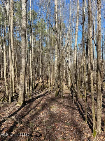 $148,000 | Phillips Road, Lexington, MS 39095