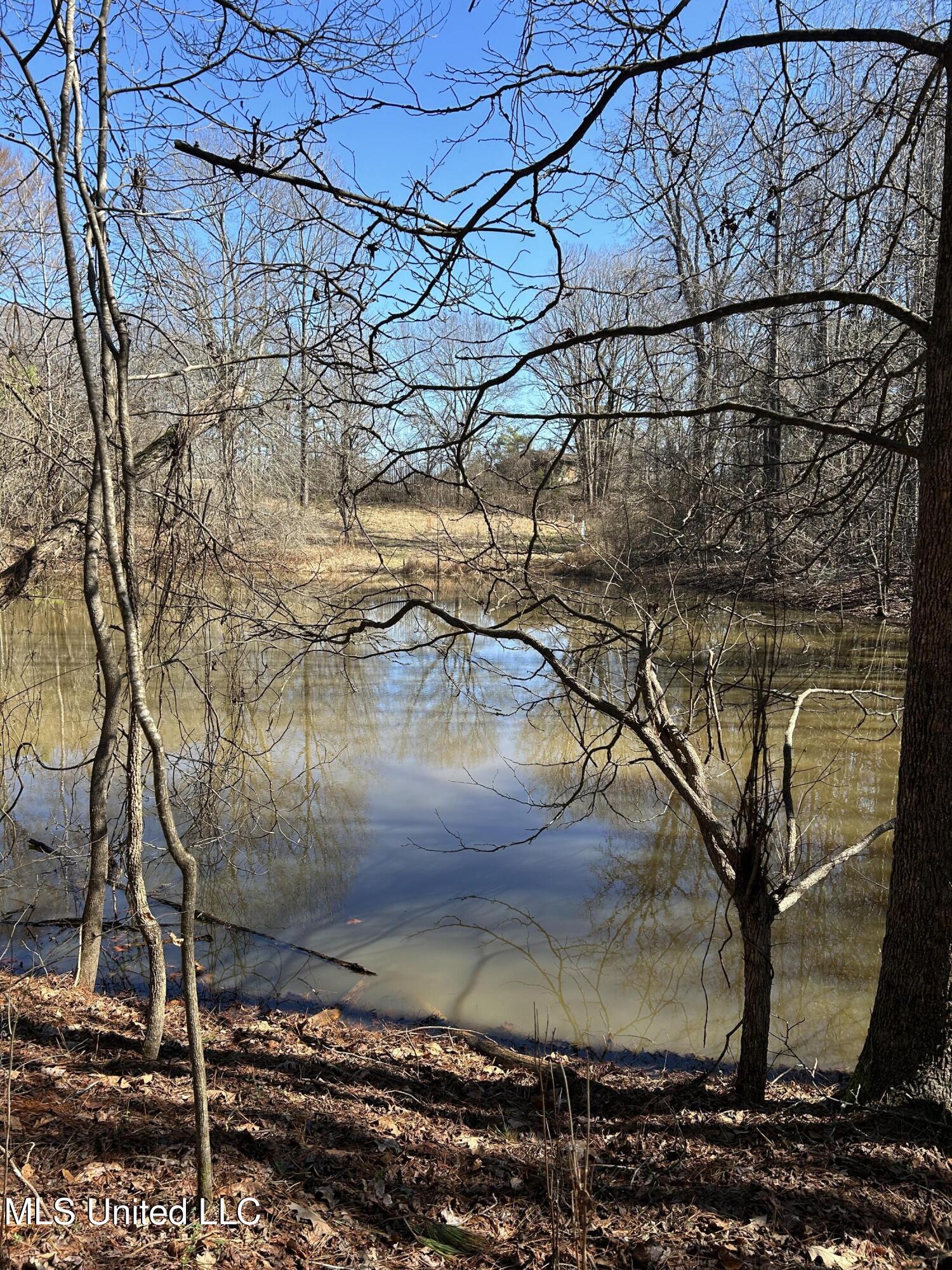 Phillips Road Lexington, MS 39095 - Photo 34 of 43 IMG_7815