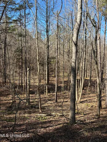 $148,000 | Phillips Road, Lexington, MS 39095