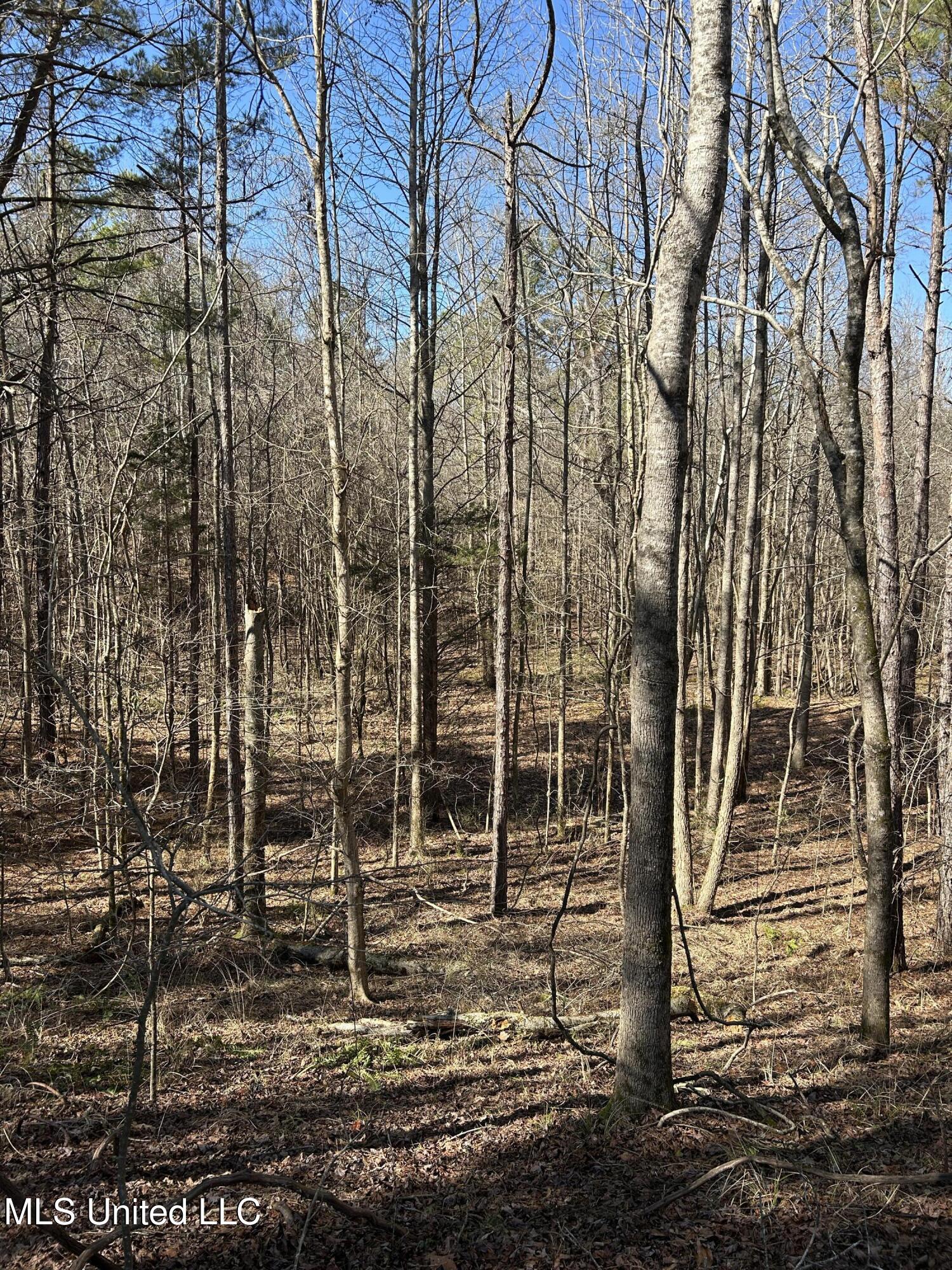 Phillips Road Lexington, MS 39095 - Photo 35 of 43 IMG_7816