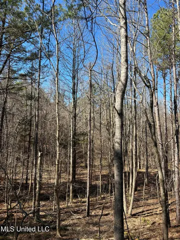 $148,000 | Phillips Road, Lexington, MS 39095