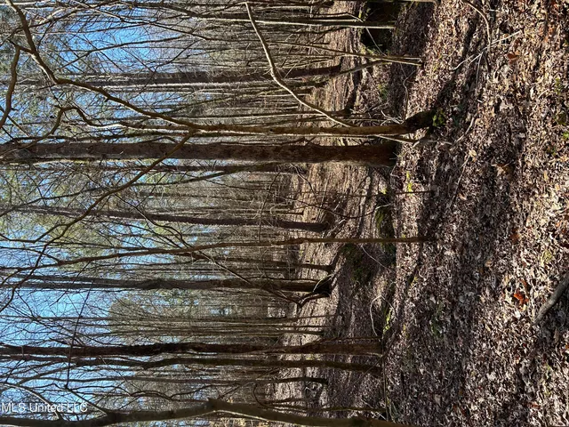 $148,000 | Phillips Road, Lexington, MS 39095