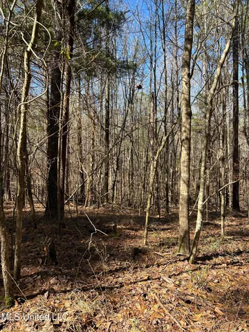 $148,000 | Phillips Road, Lexington, MS 39095