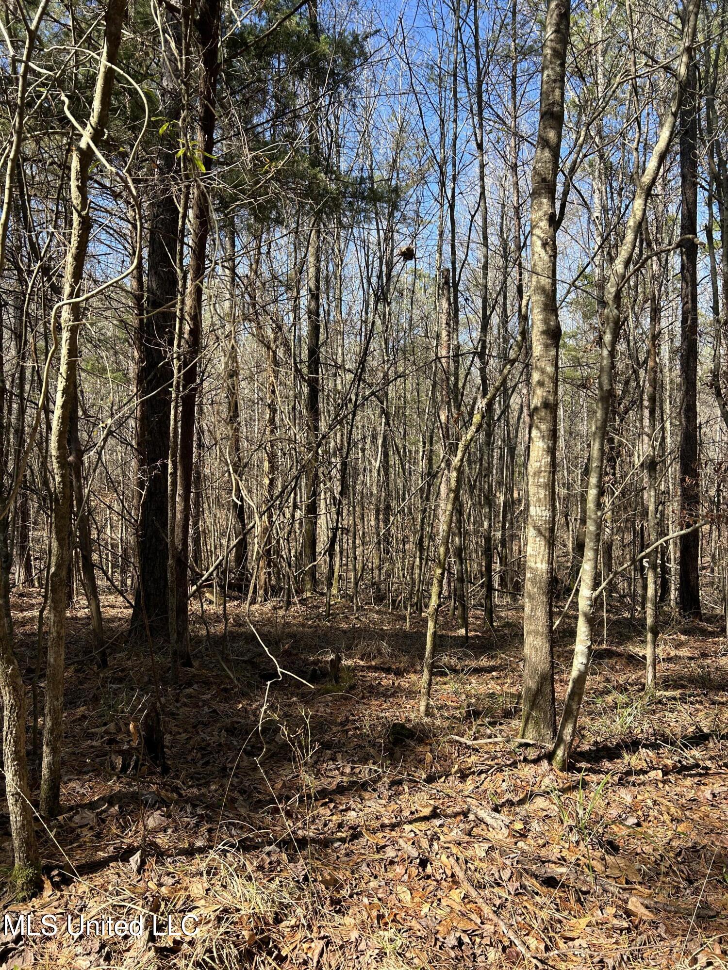 Phillips Road Lexington, MS 39095 - Photo 38 of 43 IMG_7819