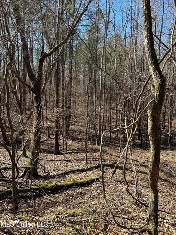 $148,000 | Phillips Road, Lexington, MS 39095