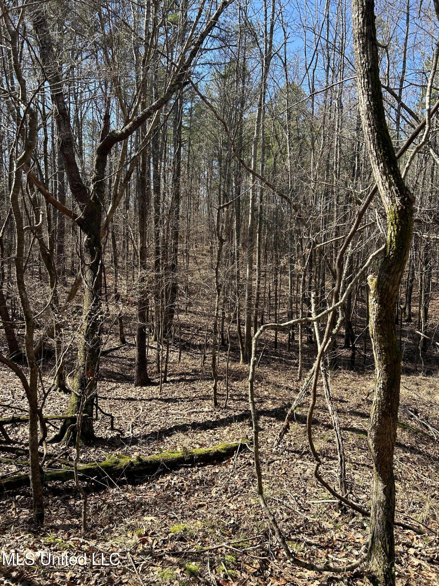 Phillips Road Lexington, MS 39095 - Photo 39 of 43 IMG_7821