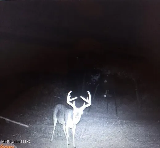 $148,000 | Phillips Road, Lexington, MS 39095