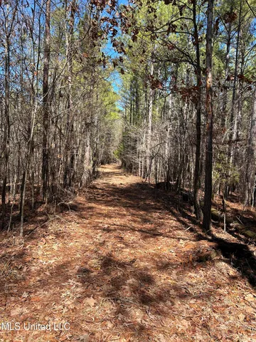 $148,000 | Phillips Road, Lexington, MS 39095
