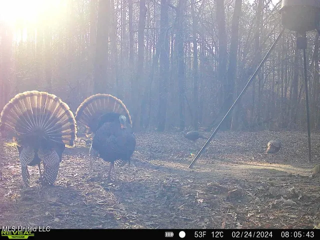 $148,000 | Phillips Road, Lexington, MS 39095