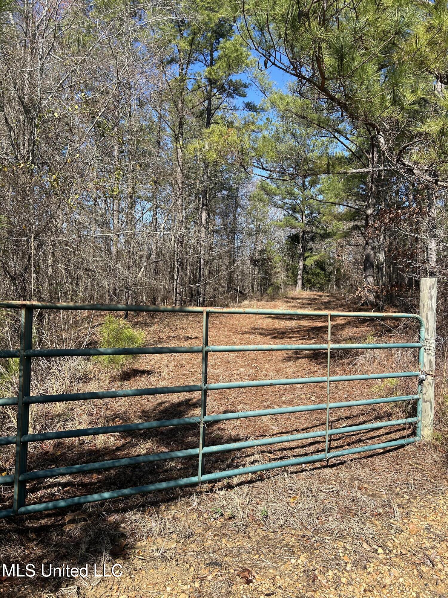 Phillips Road Lexington, MS 39095 - Photo 6 of 43 IMG_7777