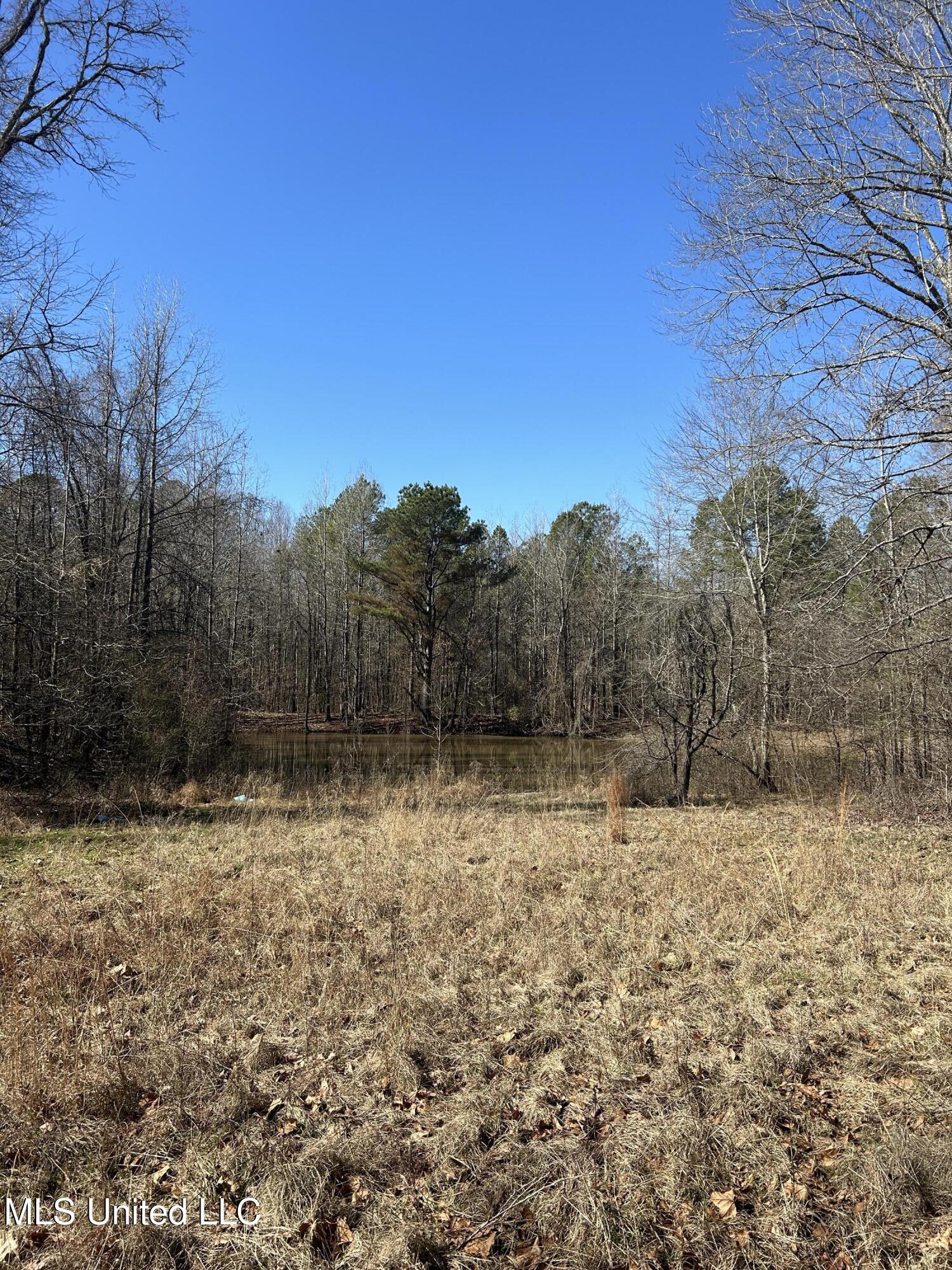 Phillips Road Lexington, MS 39095 - Photo 8 of 43 IMG_7780