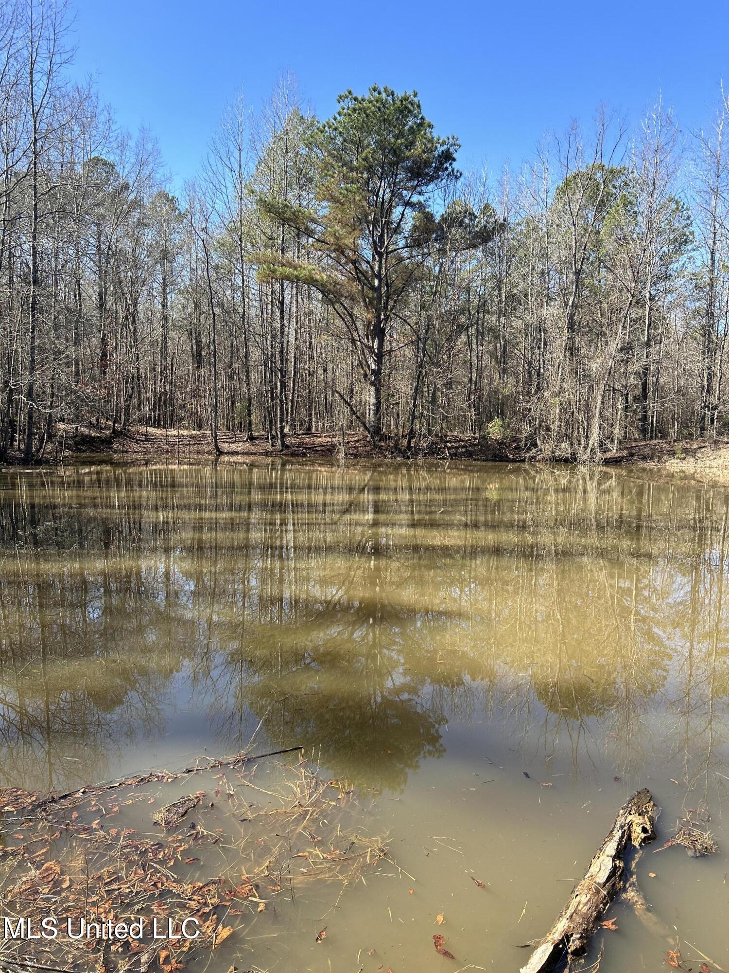 Phillips Road Lexington, MS 39095 - Photo 9 of 43 IMG_7783