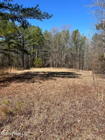 $148,000 | Phillips Road, Lexington, MS 39095