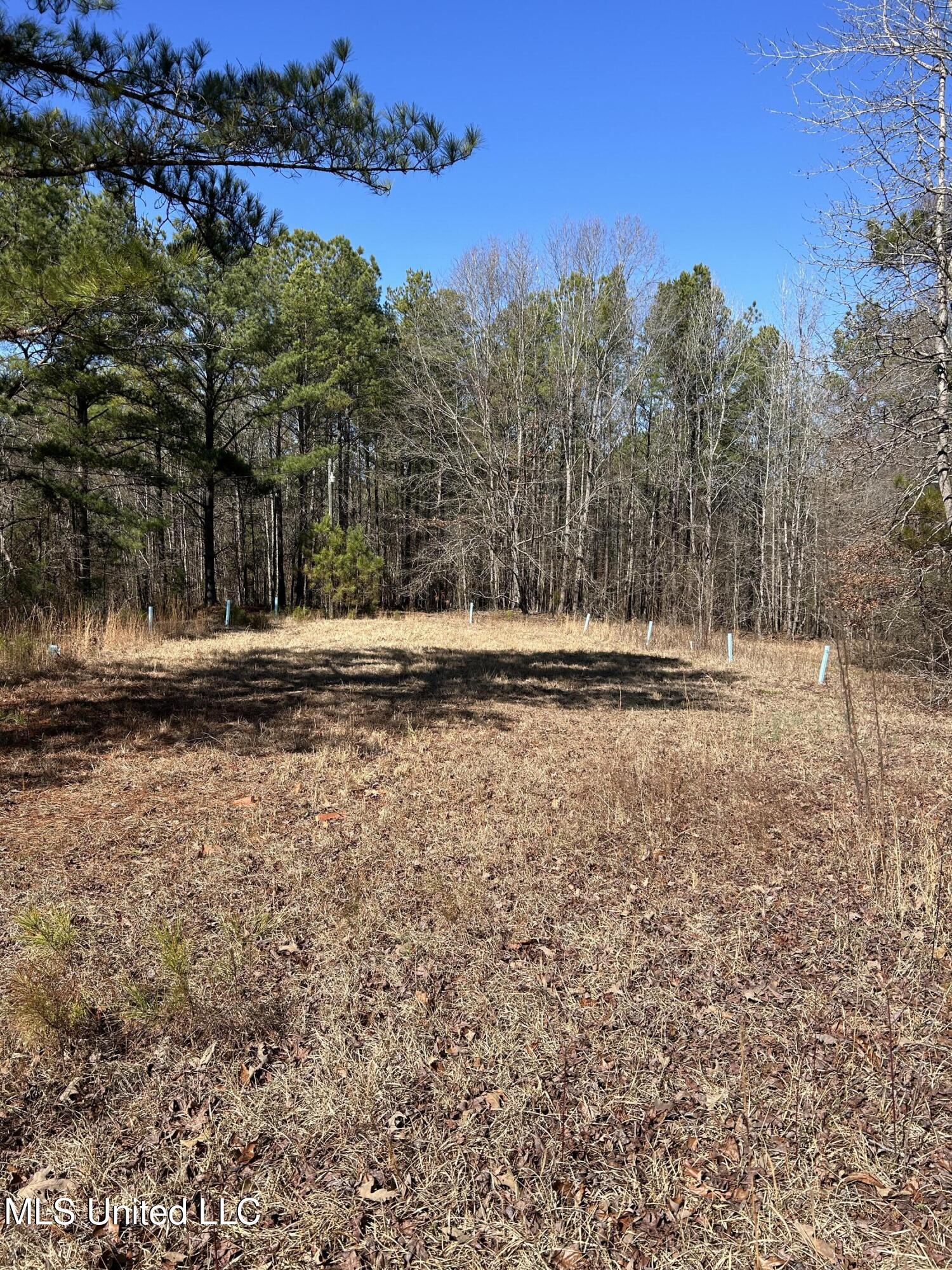 Phillips Road Lexington, MS 39095 - Photo 10 of 43 IMG_7784