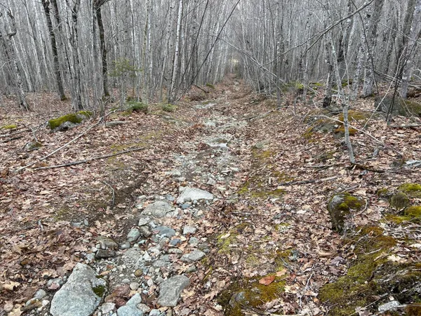 $269,000 | Map8-lot6 Map8-lot6 Cmp, Frankfort, ME 04438