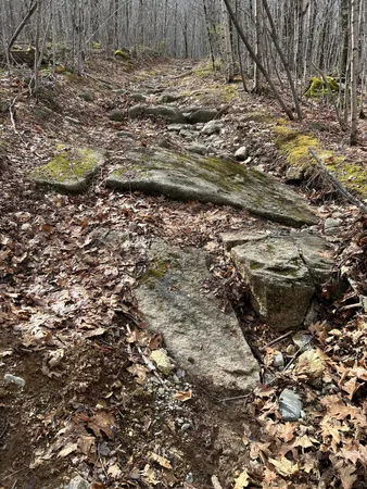 $269,000 | Map8-lot6 Map8-lot6 Cmp, Frankfort, ME 04438