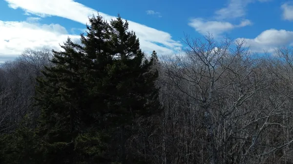$269,000 | Map8-lot6 Map8-lot6 Cmp, Frankfort, ME 04438