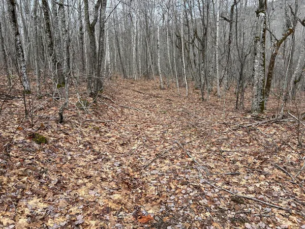 $269,000 | Map8-lot6 Map8-lot6 Cmp, Frankfort, ME 04438