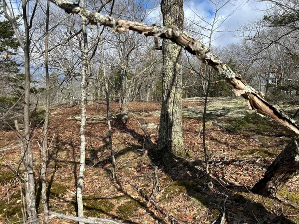 $269,000 | Map8-lot6 Map8-lot6 Cmp, Frankfort, ME 04438