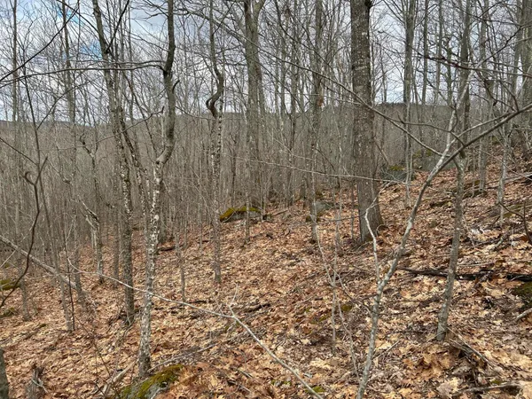 $269,000 | Map8-lot6 Map8-lot6 Cmp, Frankfort, ME 04438