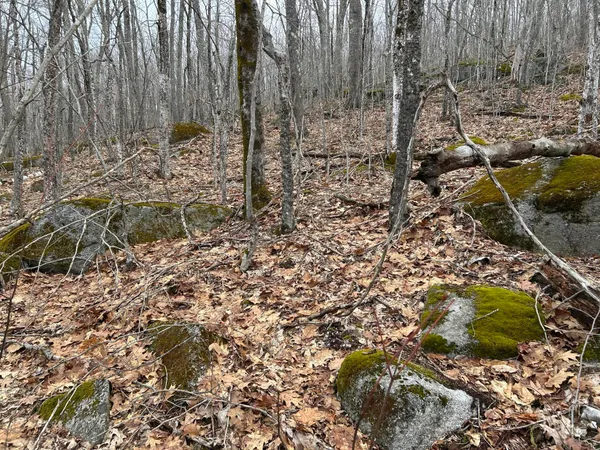 $269,000 | Map8-lot6 Map8-lot6 Cmp, Frankfort, ME 04438