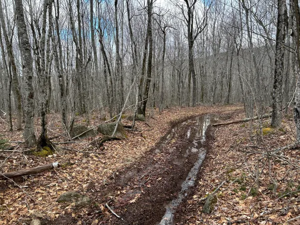 $269,000 | Map8-lot6 Map8-lot6 Cmp, Frankfort, ME 04438
