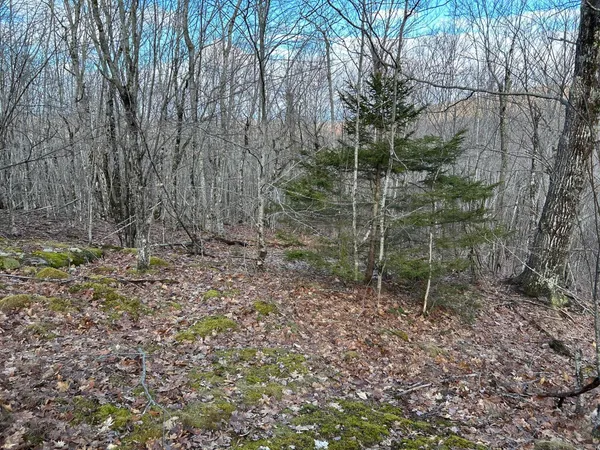 $269,000 | Map8-lot6 Map8-lot6 Cmp, Frankfort, ME 04438