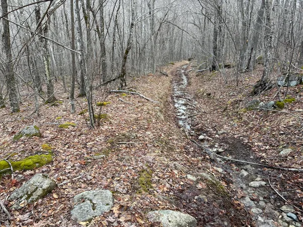 $269,000 | Map8-lot6 Map8-lot6 Cmp, Frankfort, ME 04438