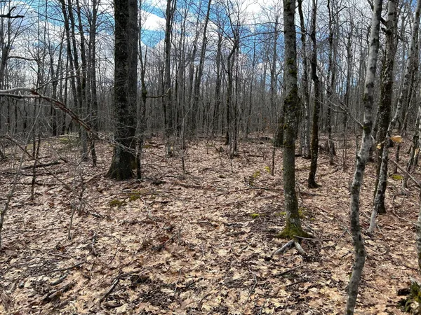 $269,000 | Map8-lot6 Map8-lot6 Cmp, Frankfort, ME 04438