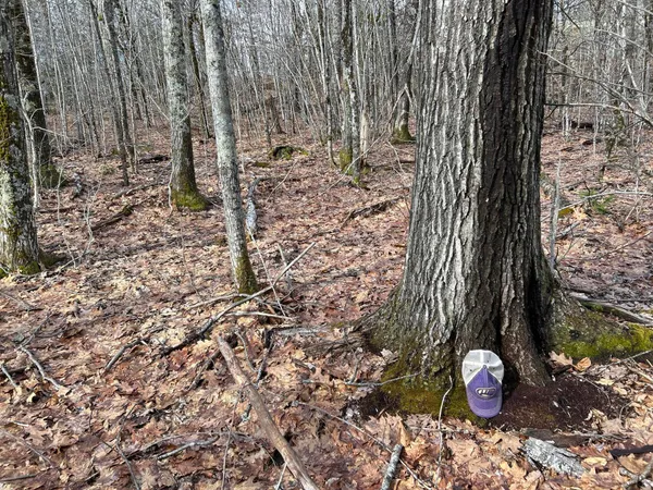 $269,000 | Map8-lot6 Map8-lot6 Cmp, Frankfort, ME 04438