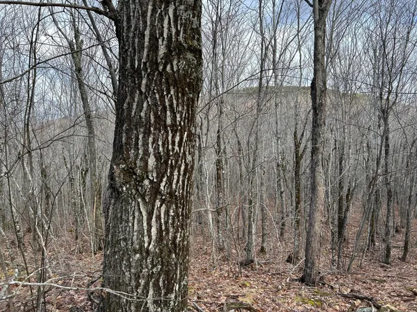 $269,000 | Map8-lot6 Map8-lot6 Cmp, Frankfort, ME 04438