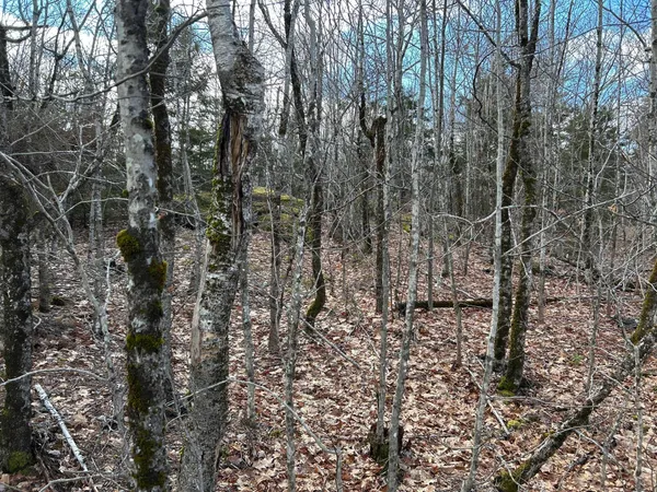 $269,000 | Map8-lot6 Map8-lot6 Cmp, Frankfort, ME 04438