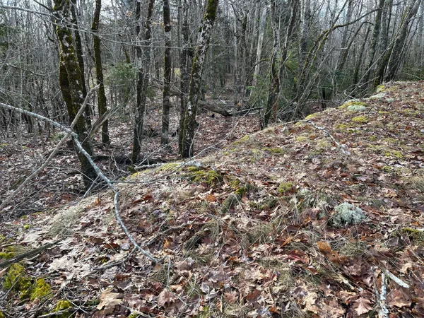 $269,000 | Map8-lot6 Map8-lot6 Cmp, Frankfort, ME 04438
