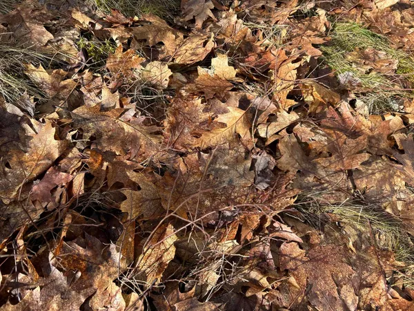 $269,000 | Map8-lot6 Map8-lot6 Cmp, Frankfort, ME 04438