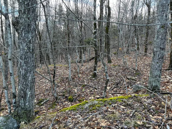 $269,000 | Map8-lot6 Map8-lot6 Cmp, Frankfort, ME 04438