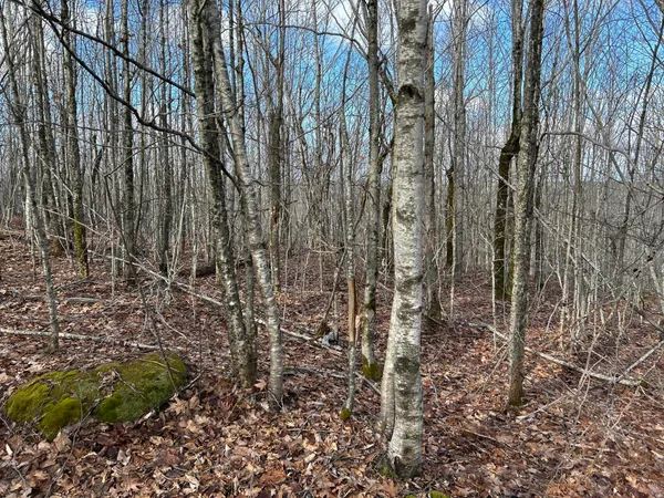 $269,000 | Map8-lot6 Map8-lot6 Cmp, Frankfort, ME 04438